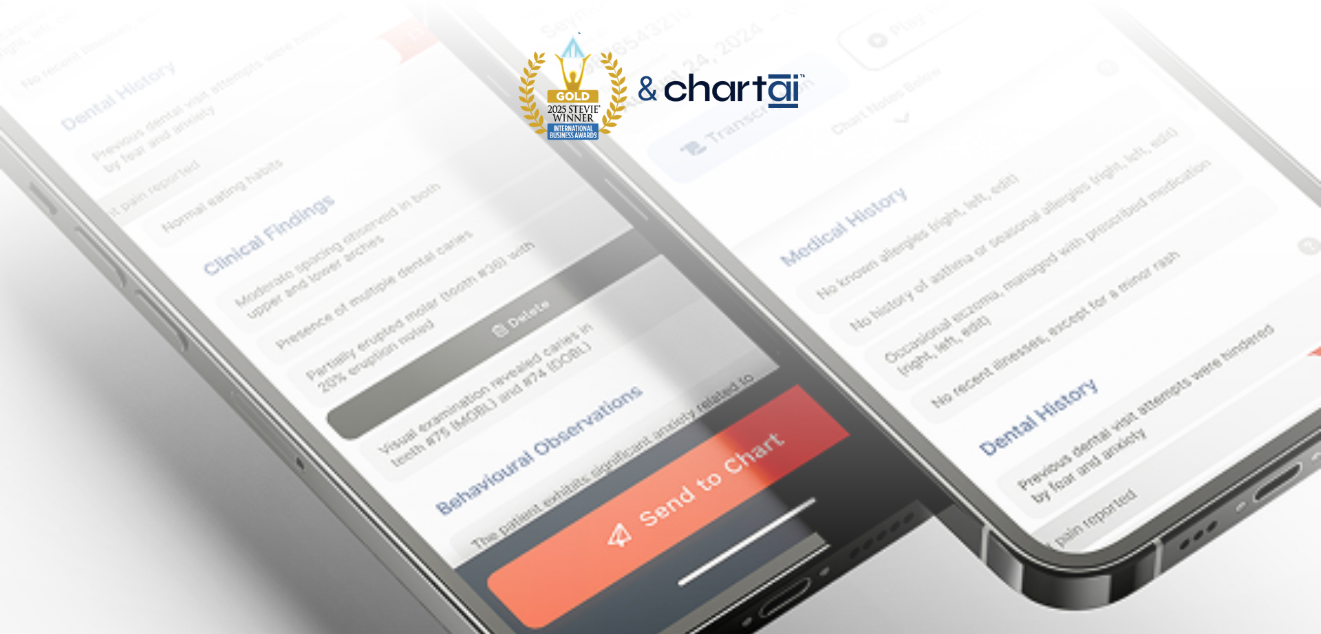 Stevie Gold Award Winner